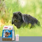 Beaphar Care+ pienso para conejos seniors, , large image number null